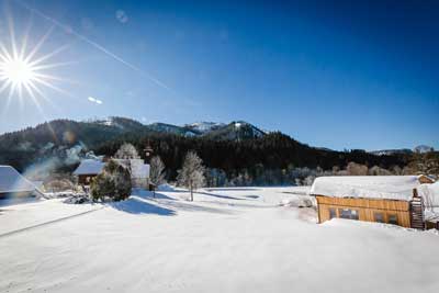 Herrlicher Wintertag rund um den Freinerhof - viel Schnee und blauer Himmerl, Herz was willst du mehr im Winterurlaub!